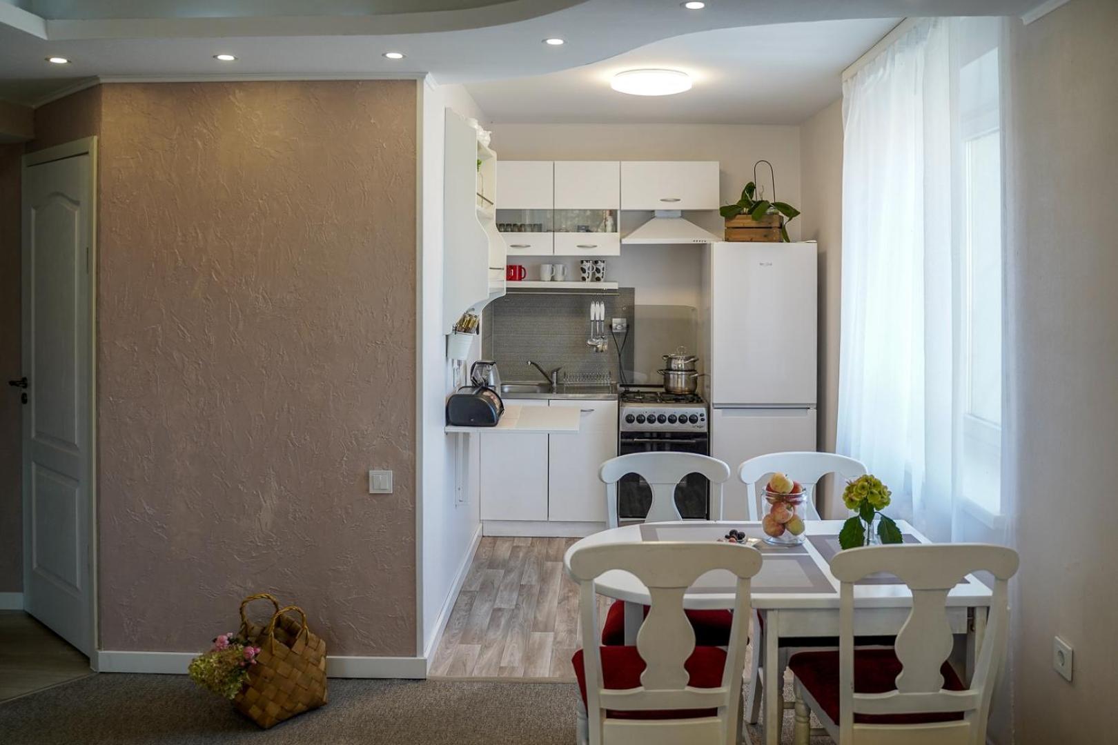 Apartamentai Birstono Centre Su Zidiniu Birštonas Kültér fotó